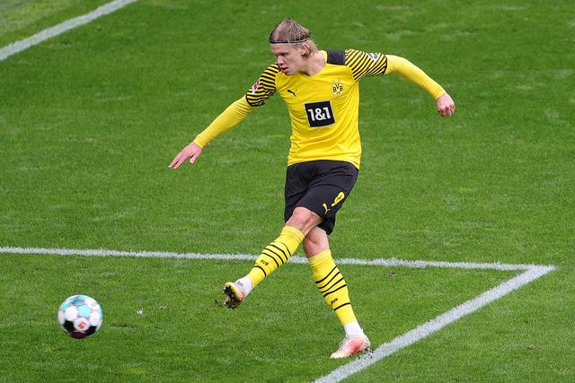 引了大量国 引了大量国